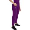 Healing Hands Women’s Scrub Jogger Pant Tara with 6 Pockets, Durable, 2-Way Stretch and Easy Care Fabric – 9233(Eggplant)